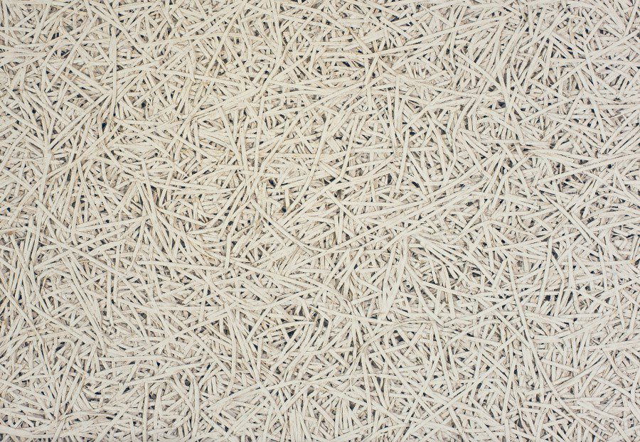 encosanmagnes1 900x622 1